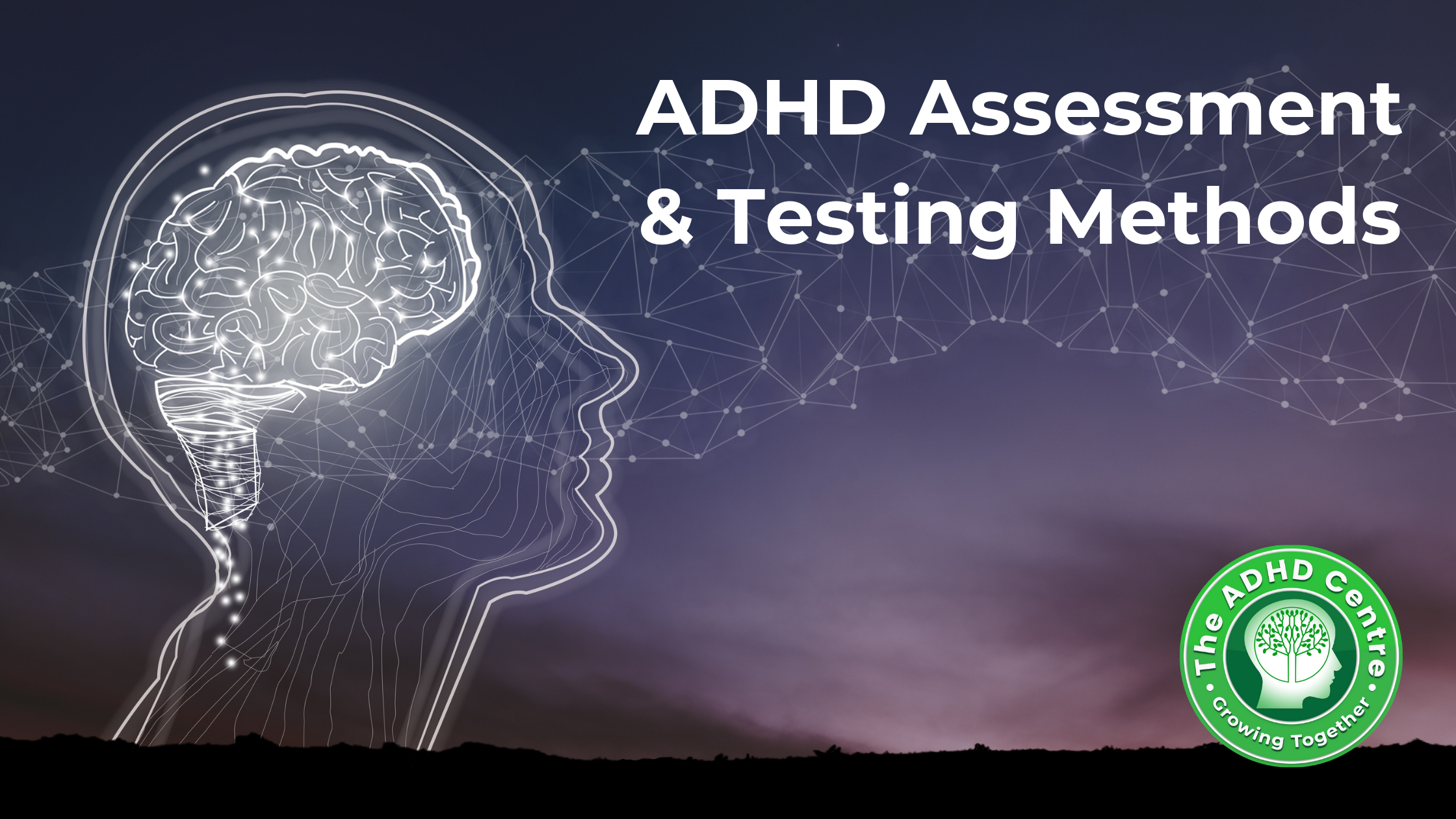 Assessment-testing methods